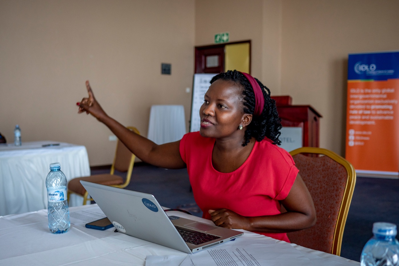 An IDLO consultant speaking during a working session