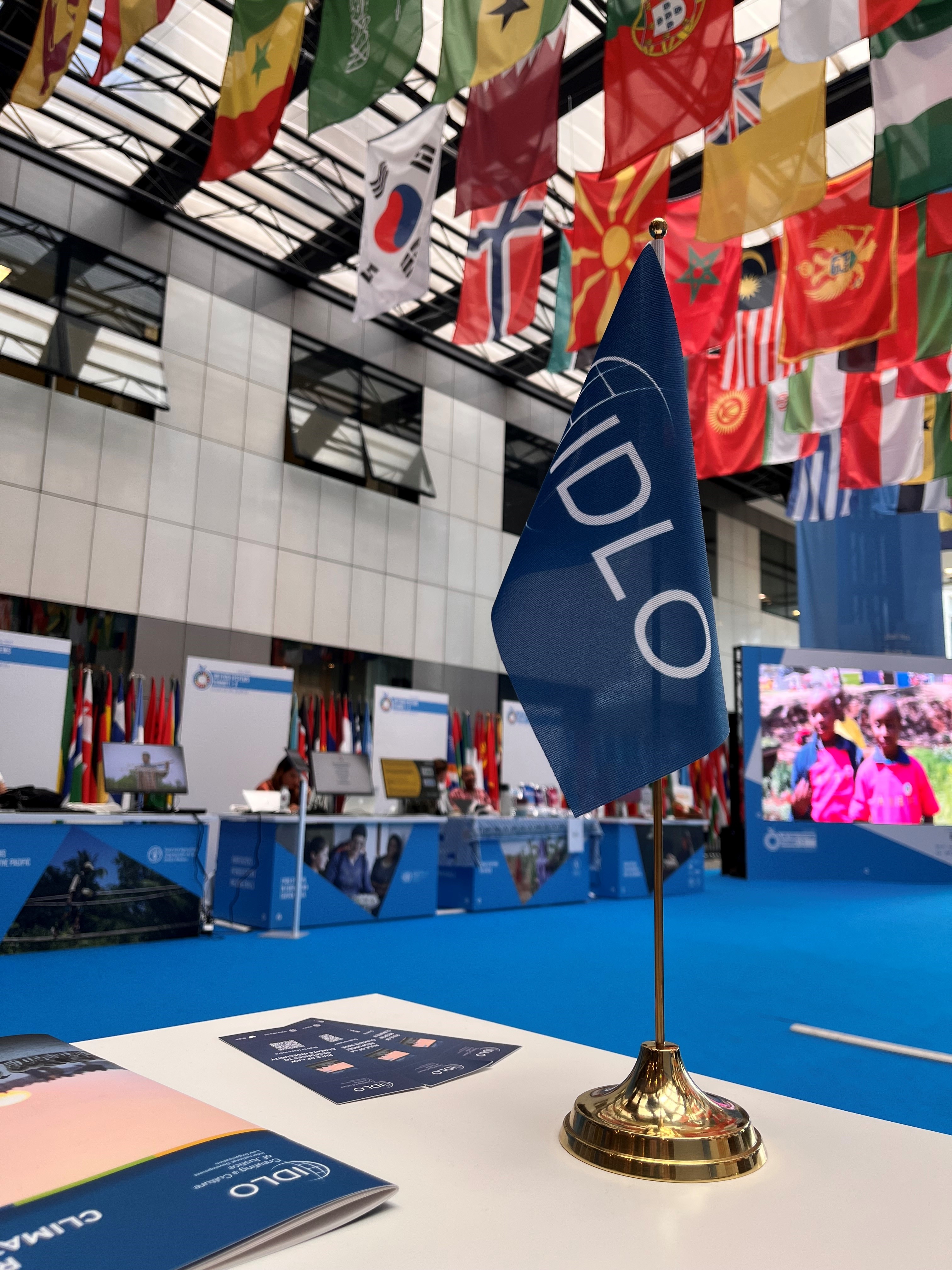 IDLO exhibition with flags representing member countries