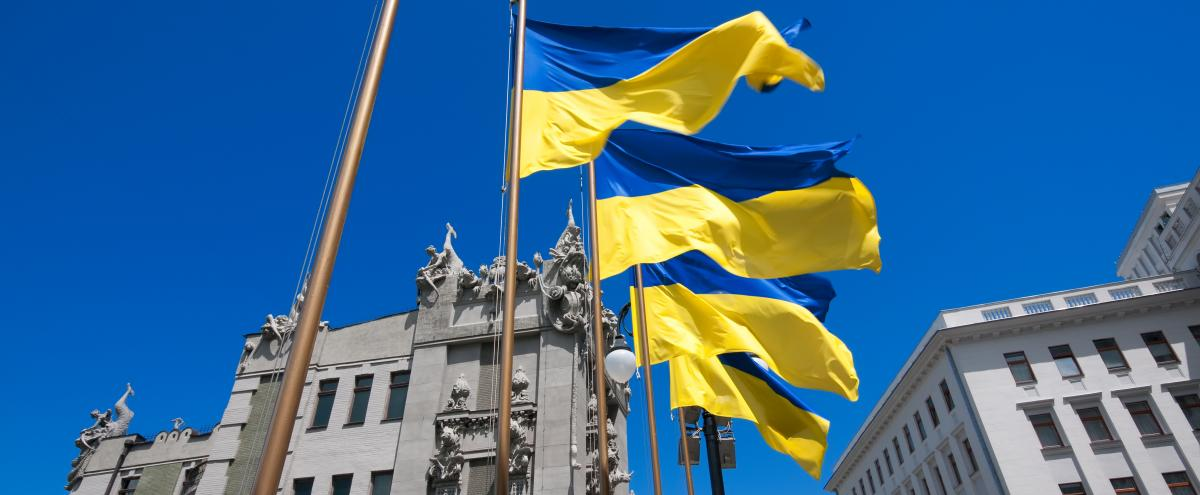 Ukrainian flags in Kyiv
